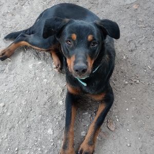 Meet your Posher, Bertha